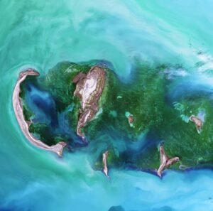 biomas acuaticos 18 Descubre el Fascinante Mundo de los Biomas Acuáticos
