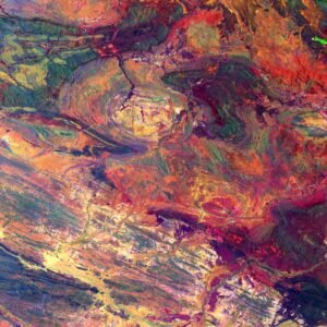 biomas acuaticos 21 Descubre el Fascinante Mundo de los Biomas Acuáticos