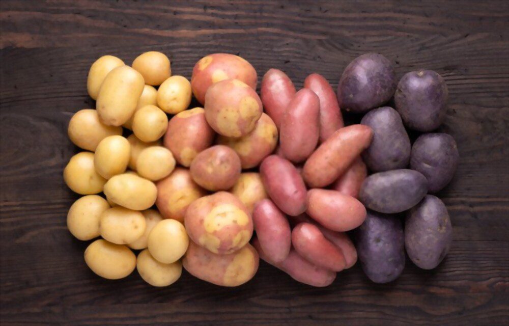 Jardinería y Cultivos 1 Jardinería y Cultivos Cultivos