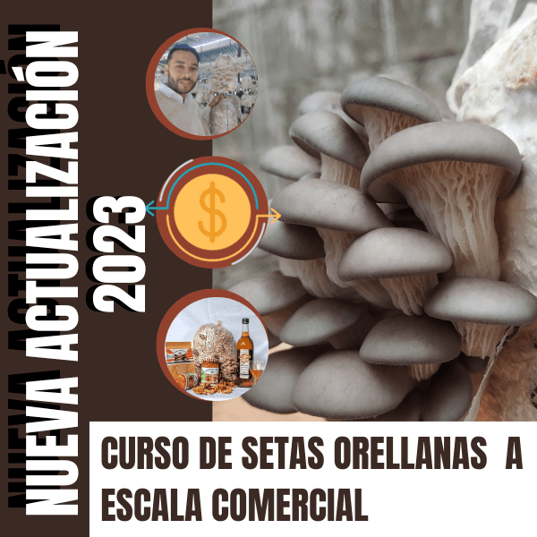 PROTADAPARAELCURSOCOMERICIAL1 Guía completa para el cultivo de champiñones ostra